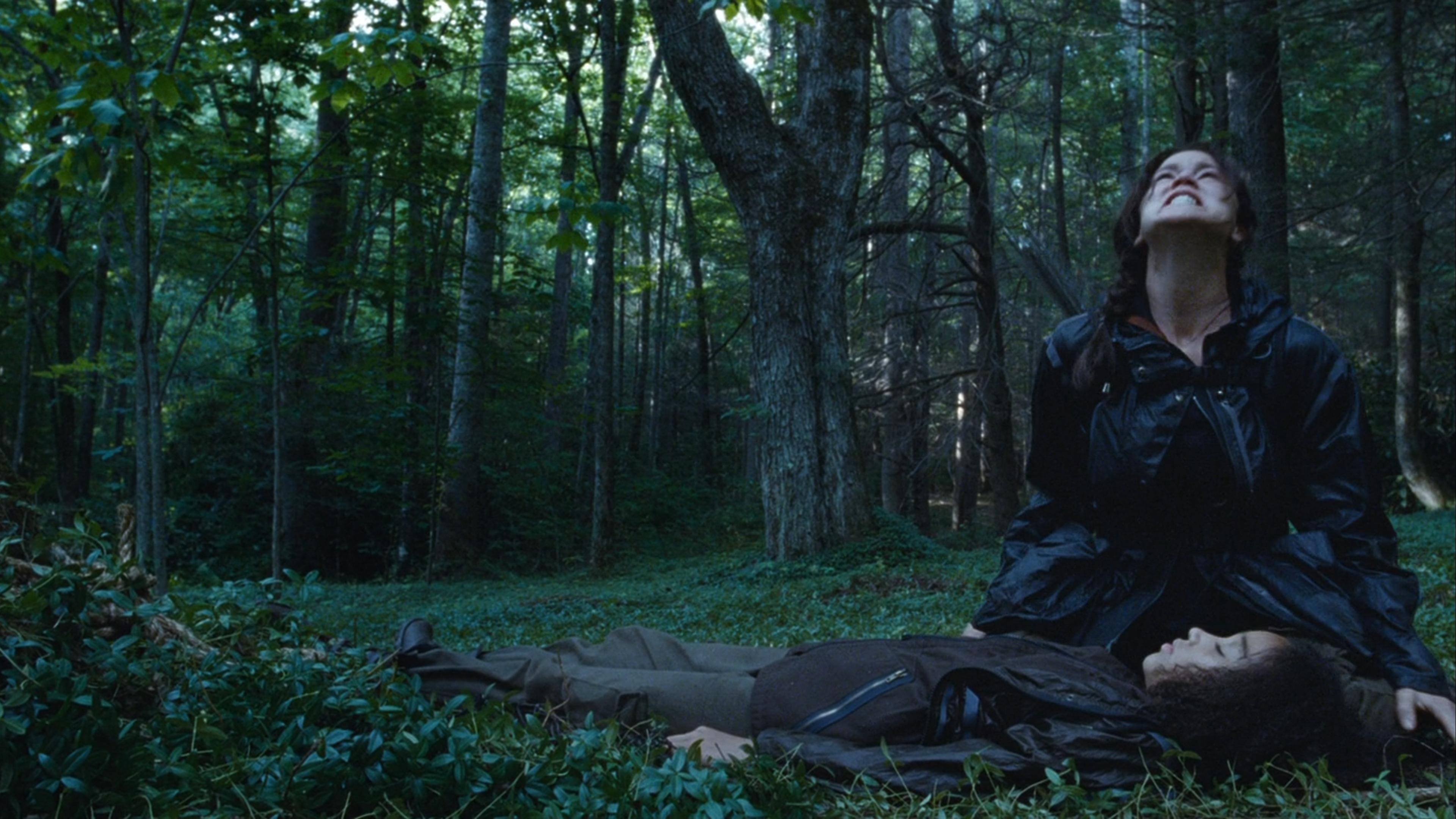 The_Hunger_Games