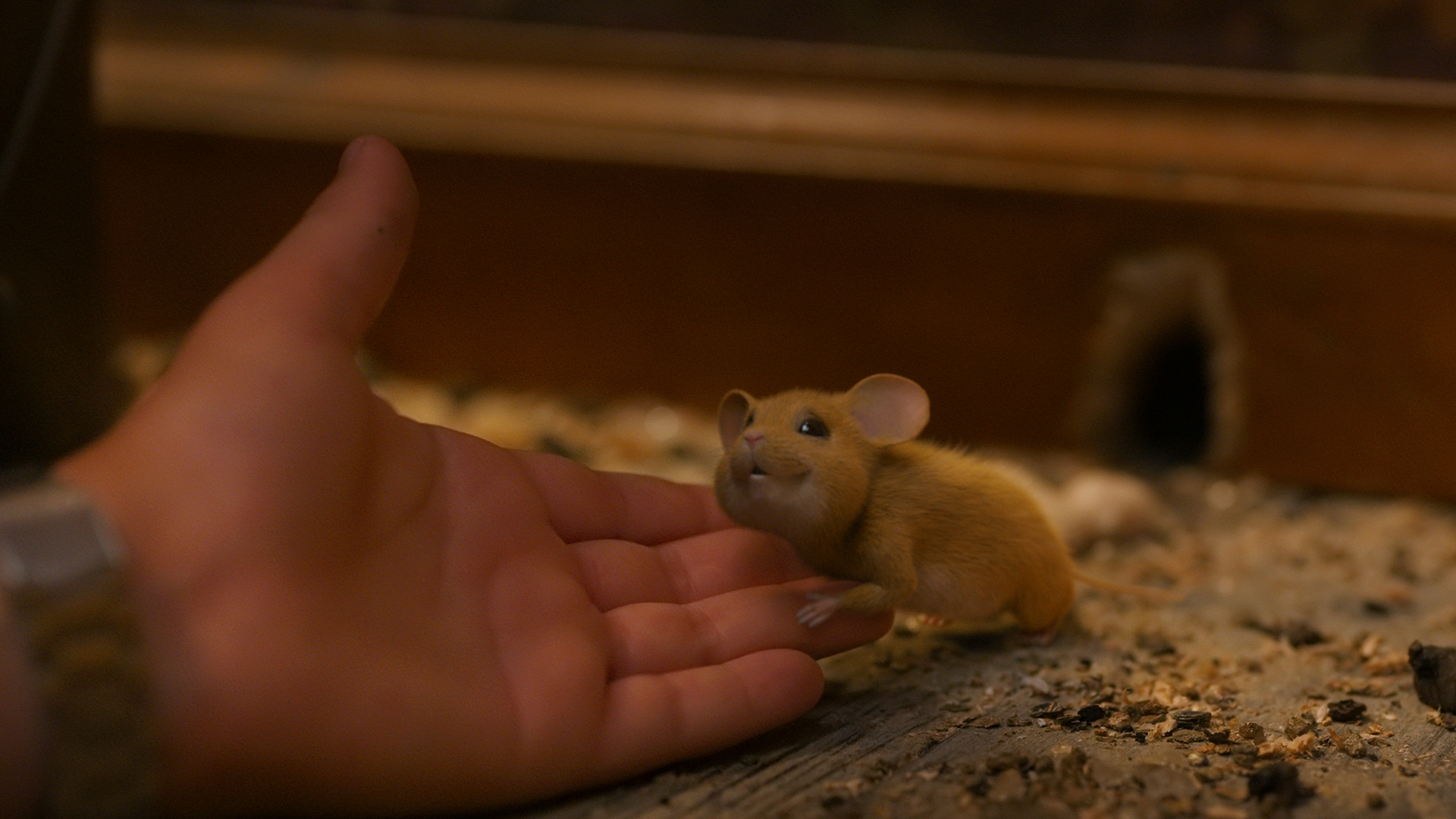 Om ingen går i fällan