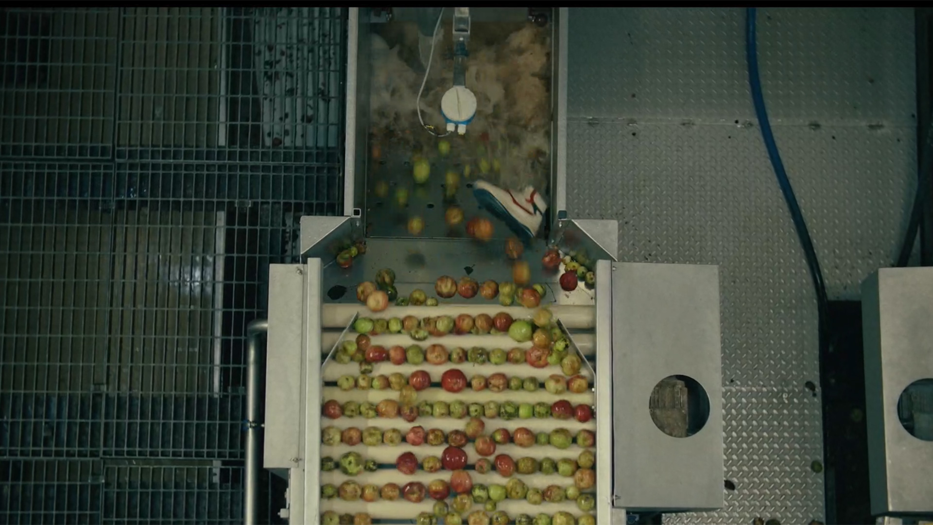 Bad Apples