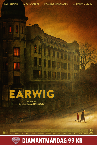 earwig