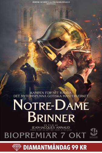 Notre-Dame Brinner