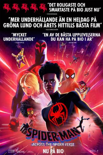 Spider-man: Across the spider-verse