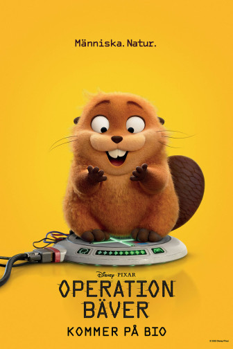 Operation bäver