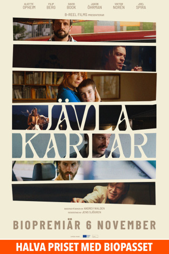 Jävla karlar