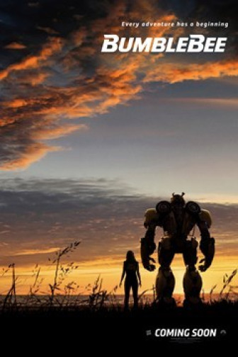 Bumblebee Bumblebee