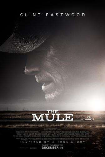 The Mule Thumbnail